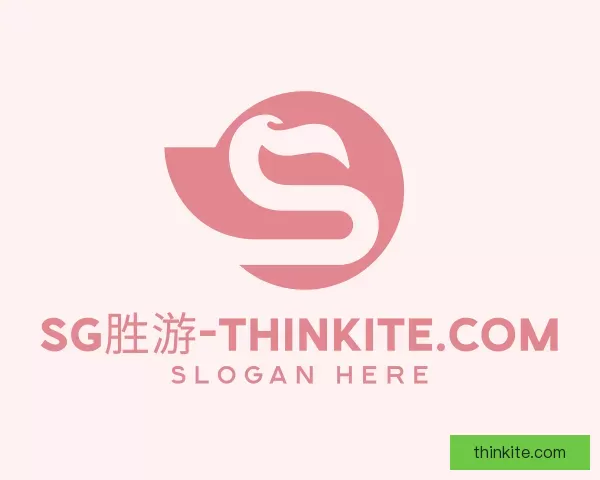 发现漏洞SG胜游